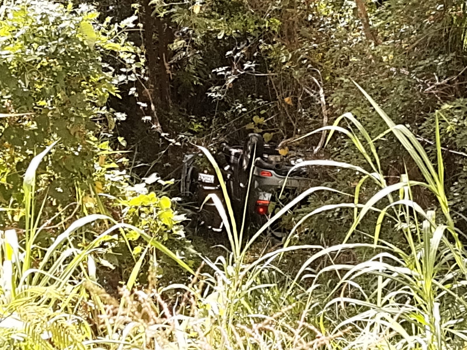 WhatsApp Image 2022-05-28 at 15.14.56