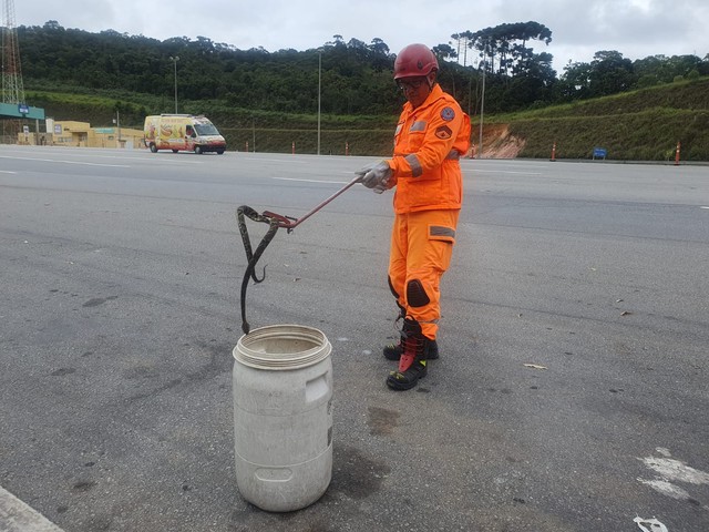 Jararaca de 1,5 metro é resgatada atrás de cabine de pedágio na BR-040 em Barbacena