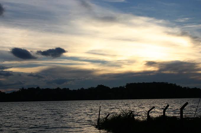 images (31)
