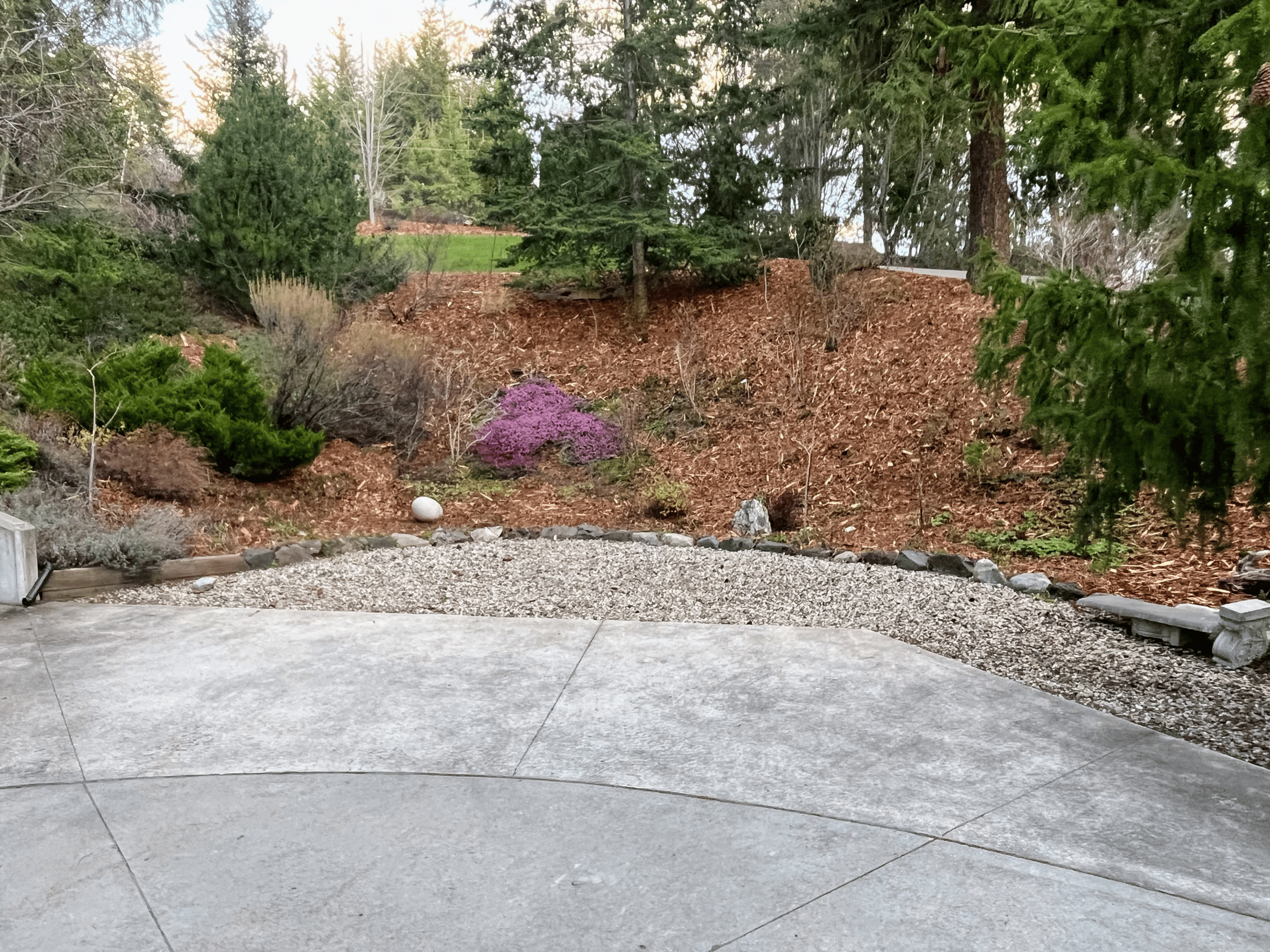 Proactive wildfire fuel reduction and defensible space clearing in Salmon Arm.