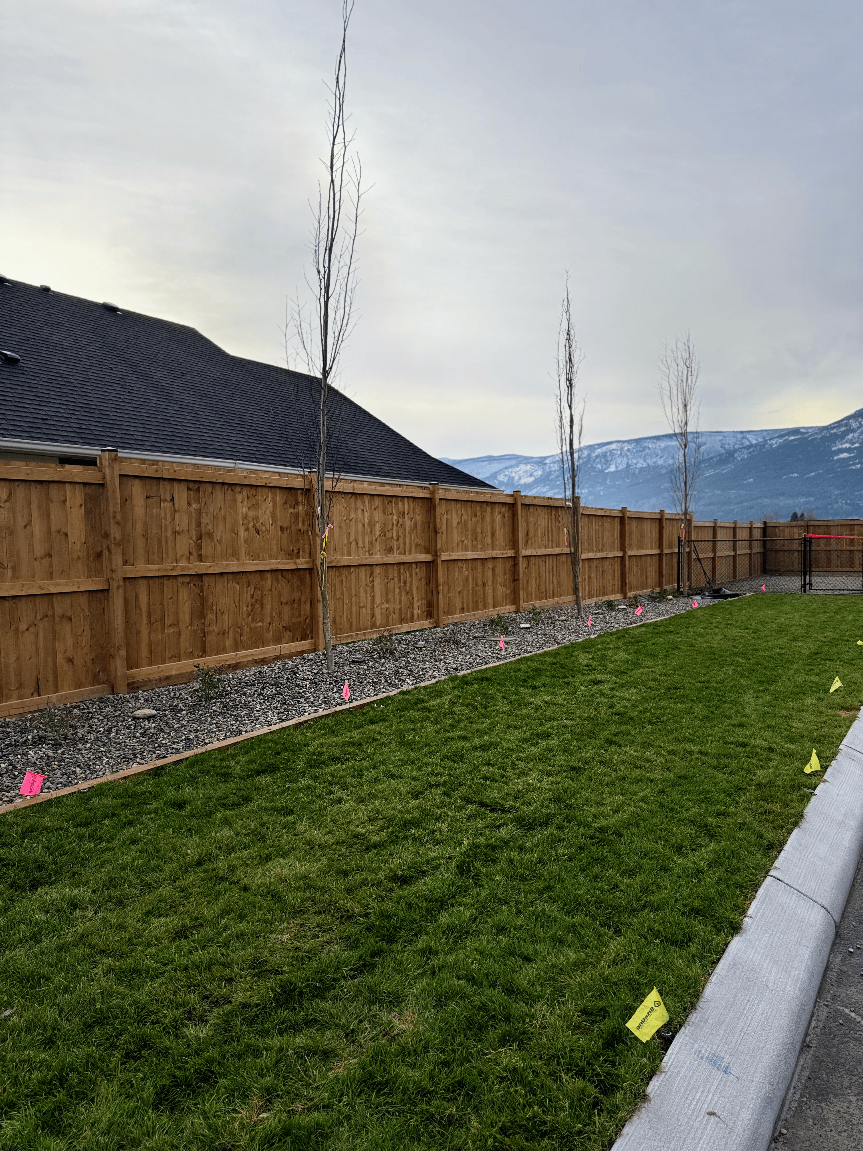 Precision-graded sod installation and lawn restoration in the Shuswap region.
