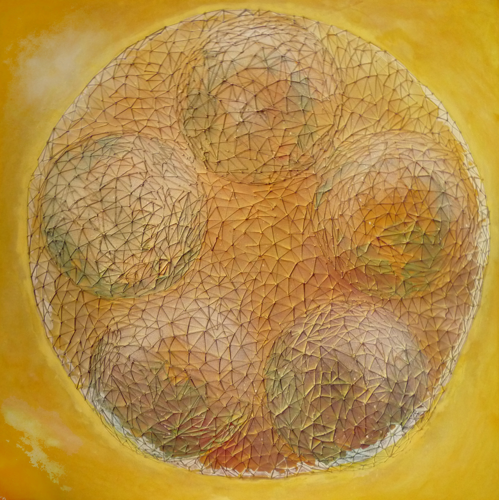 cell 1
