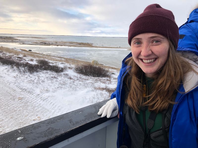 Mattstern99 Matt Stern Github - Nature Illustration Collection - High Resolution Quality