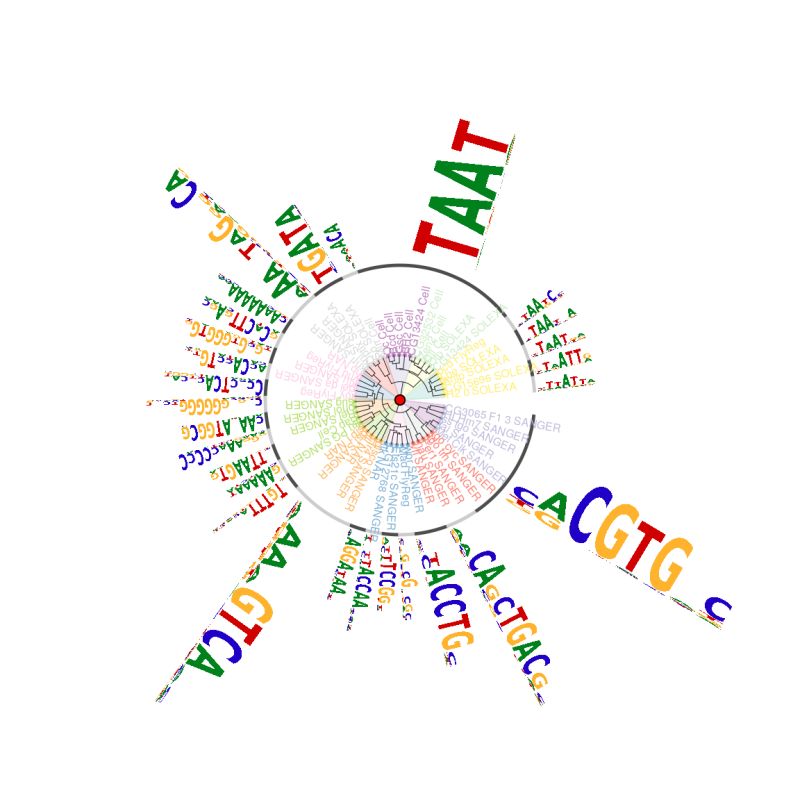 Github Jianhong Motifstack Plot Stacked Logos For Single Or Multiple - Sunset Wallpapers - Gorgeous Ultra HD Collection