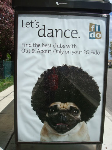 昨天我生日結果橘子貓看到這照片後，竟然做出這件事來!