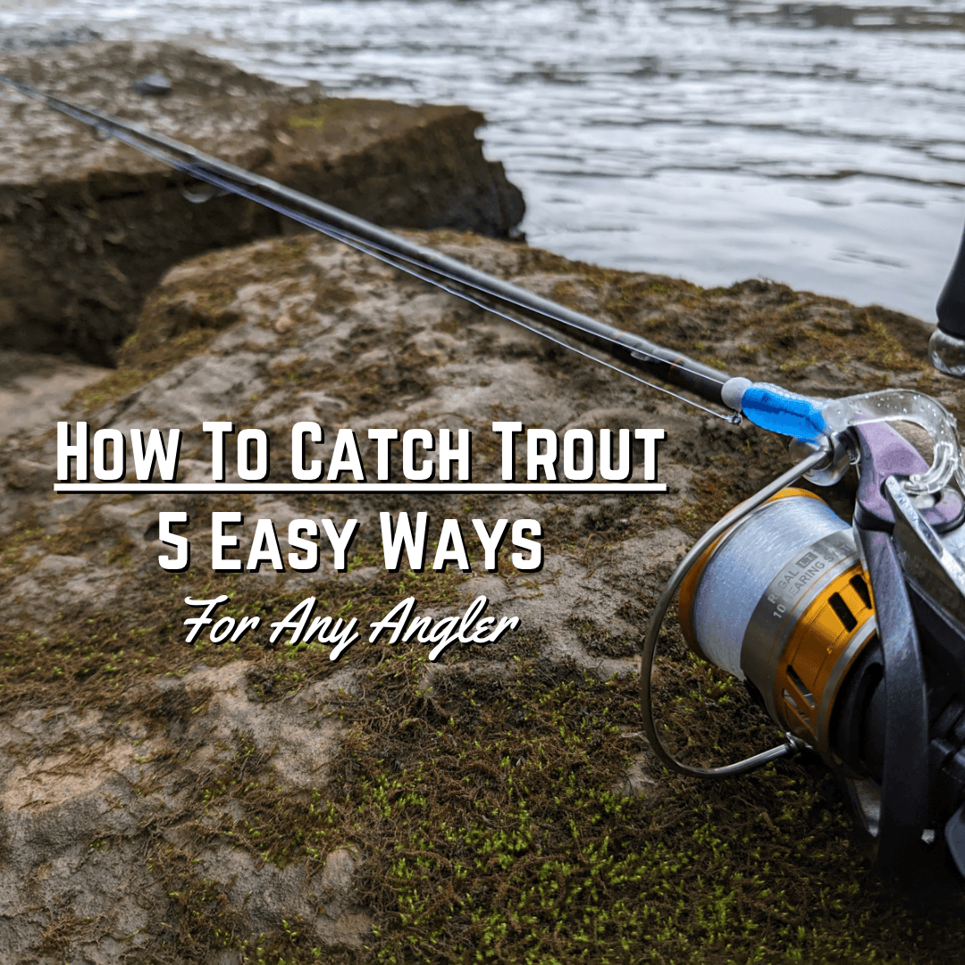 The words "How To Catch Trout: 5 Easy Ways For Any Angler" beside a spinning rod and reel lying on the ground