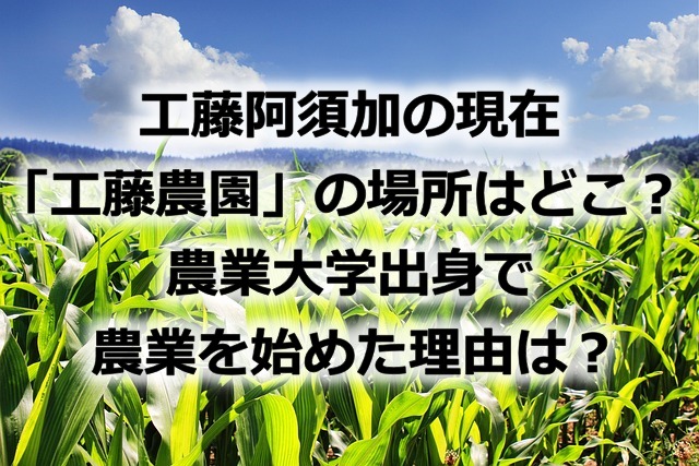 工藤阿須加の現在「工藤農園」の場所はどこ？農業大学出身で農業を始めた理由は？