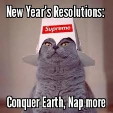 cat-resolution