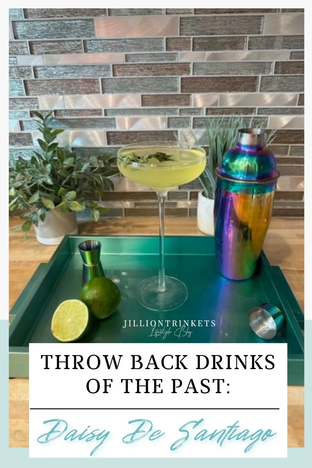 Throw Back Drinks of the Past: Daisy De Santiago