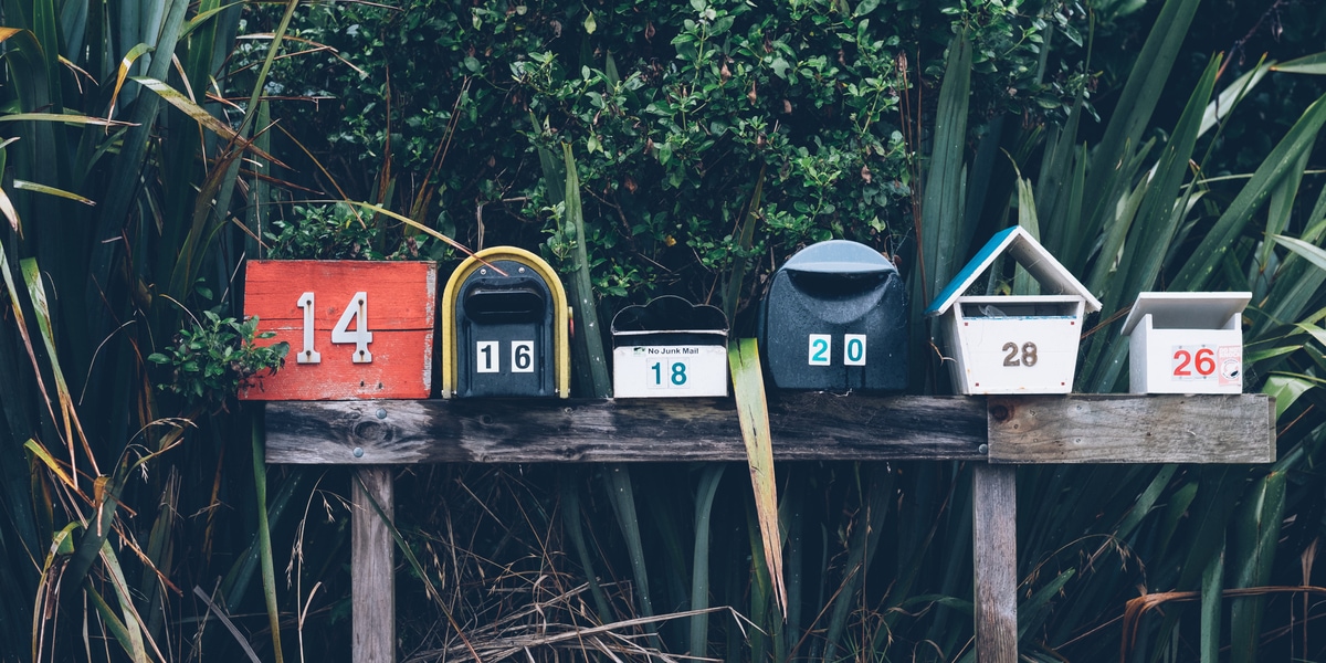 Create a Newsletter in Three Easy Steps