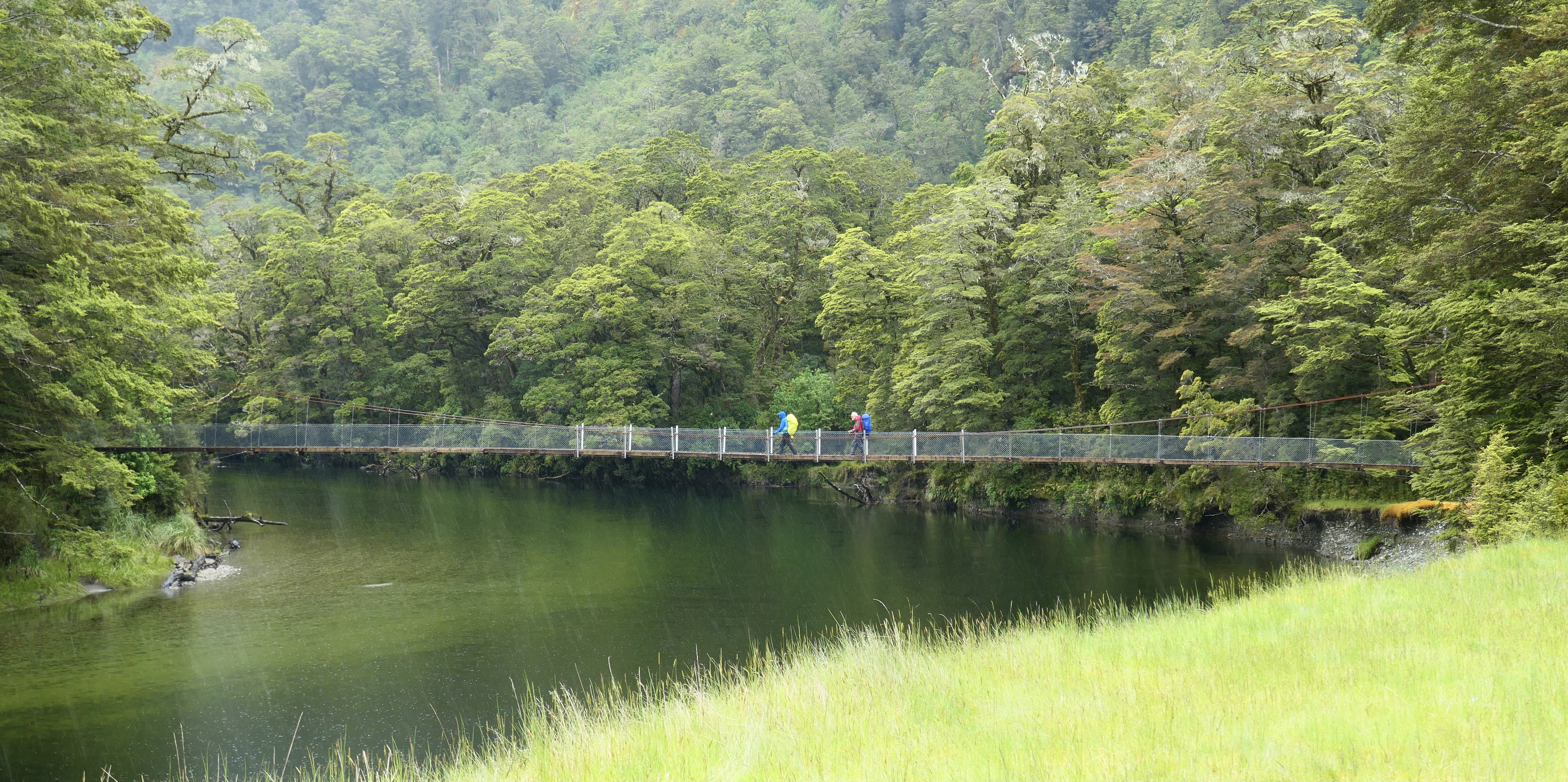 Milford Track - Glade Wharf to Clinton Hut