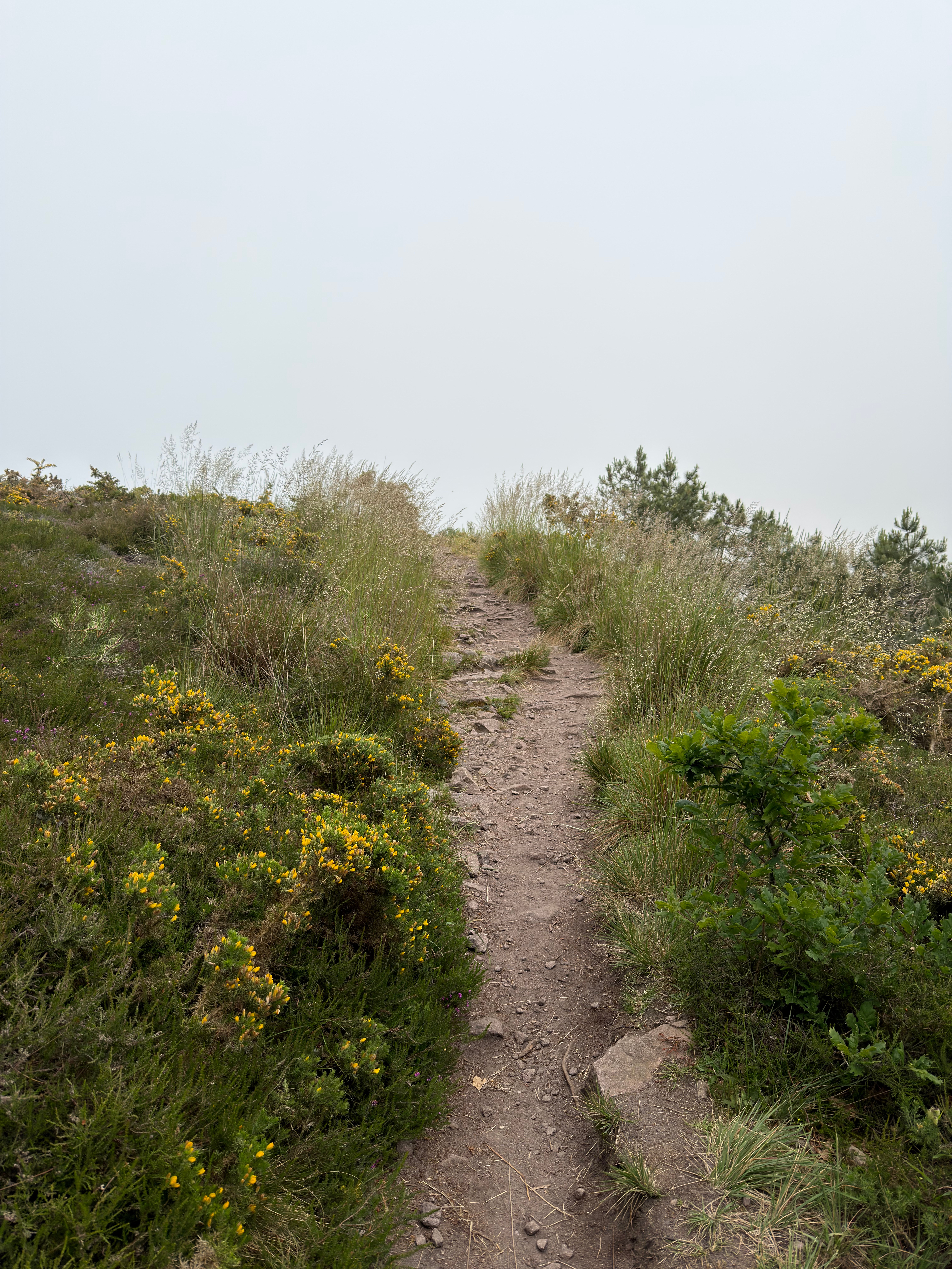 Heading up