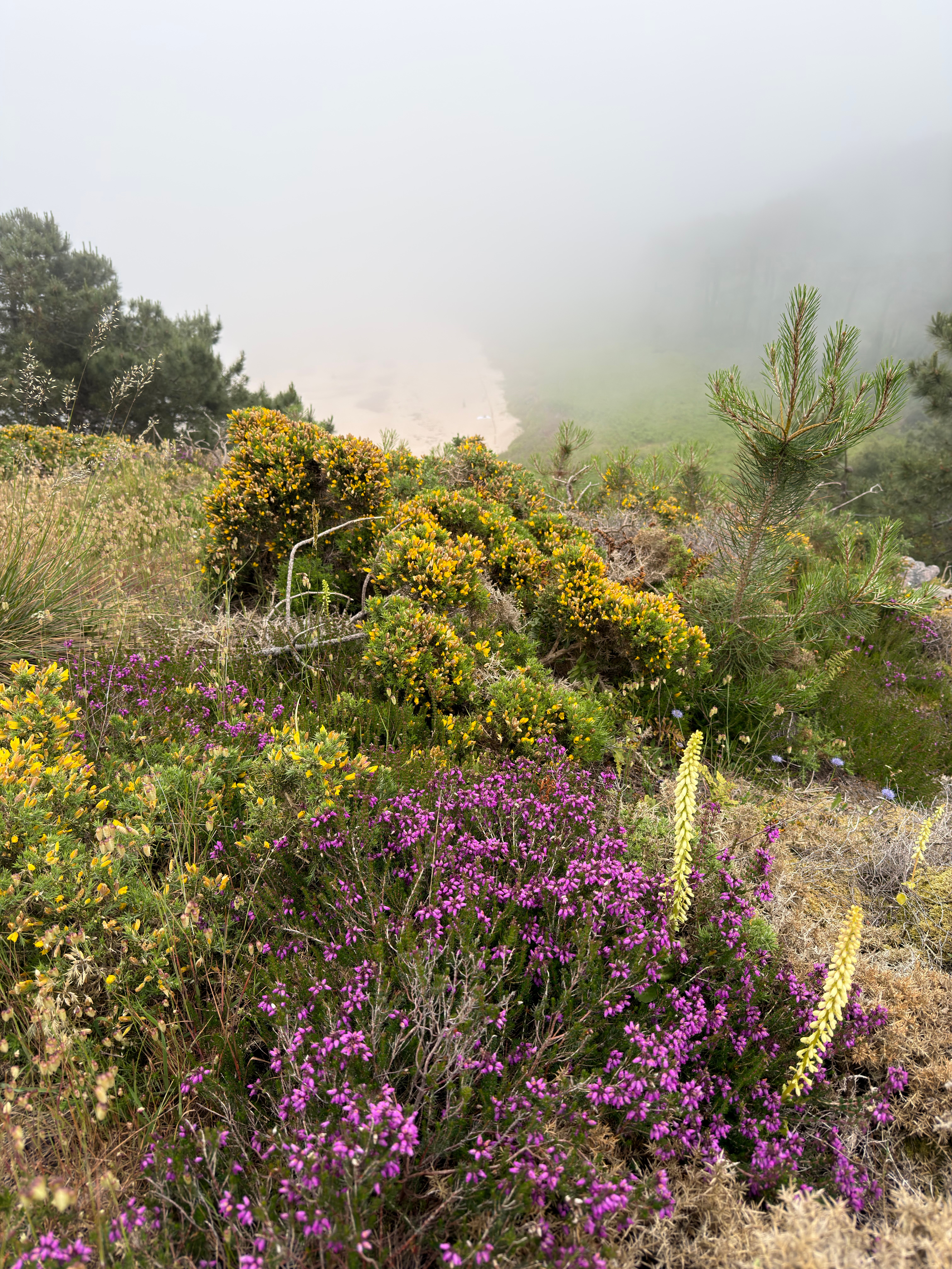 Looking down on Plage sauvage de Lanruen