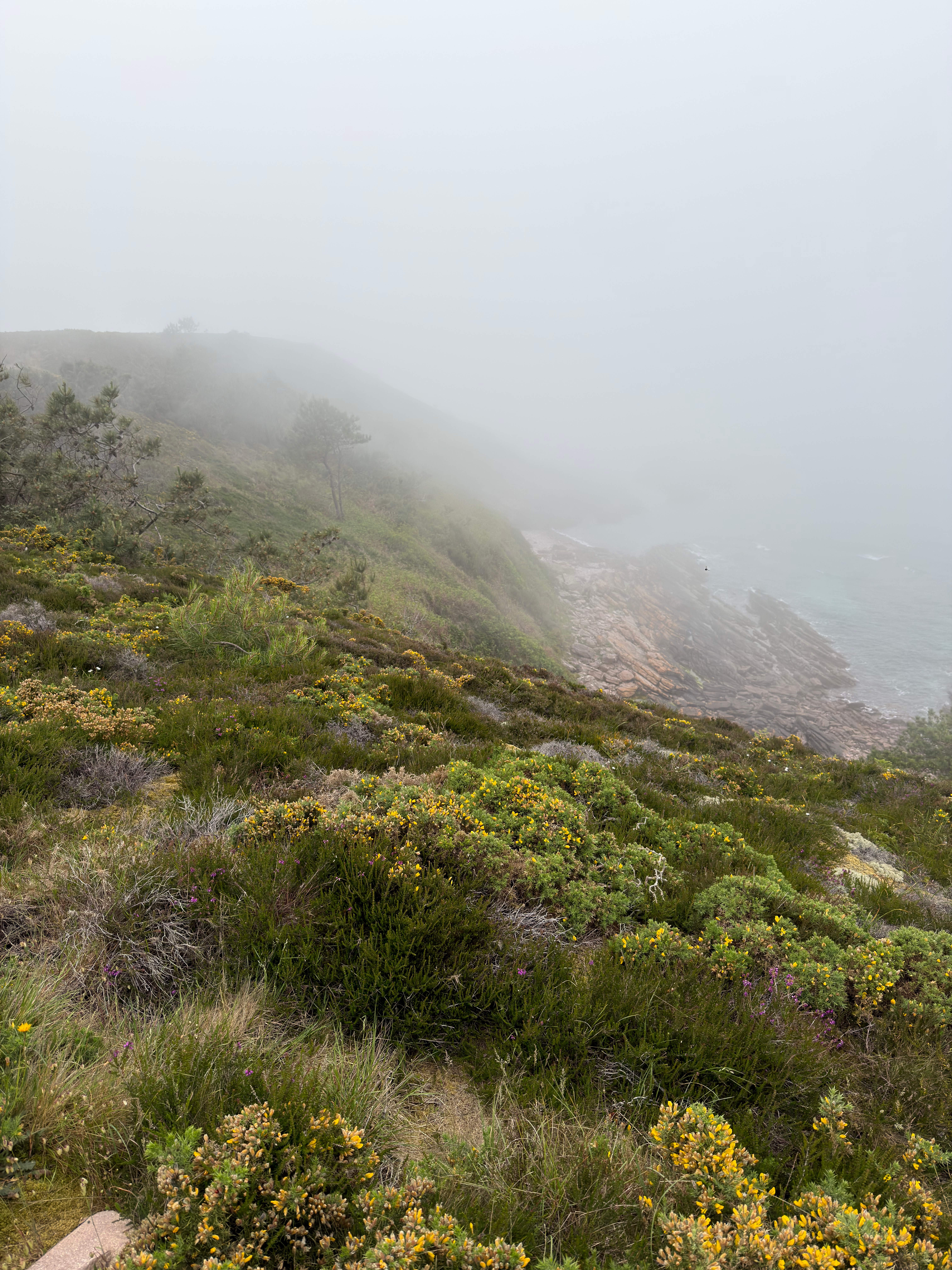 Headland walking
