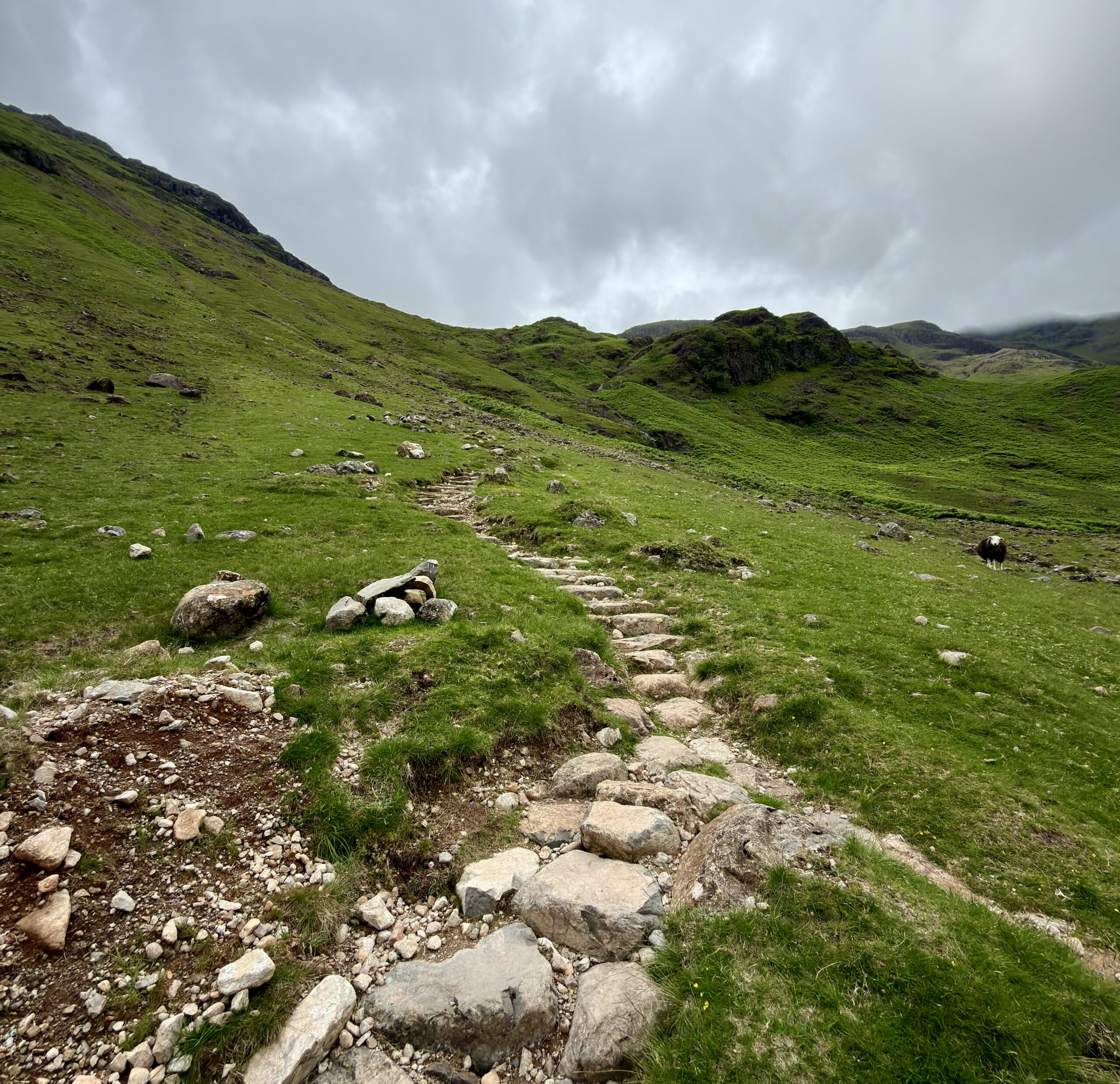 Footpath to Browney Gill