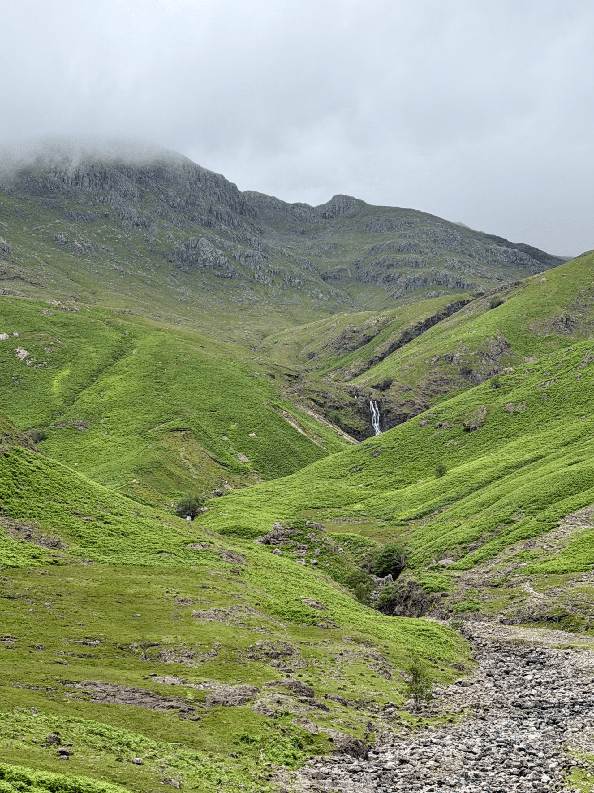 Heading up Browney Gill