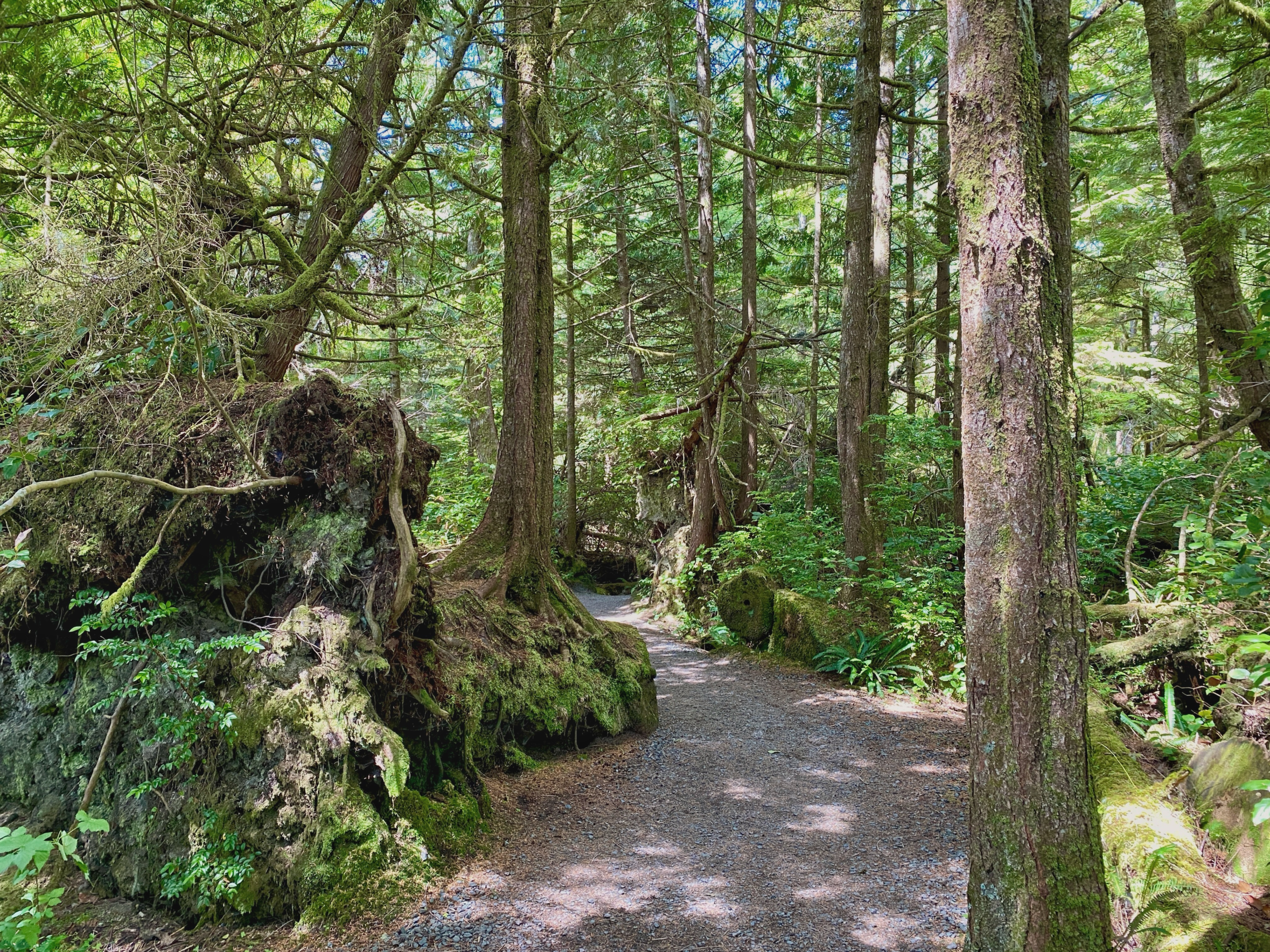 Wild Pacific Trail