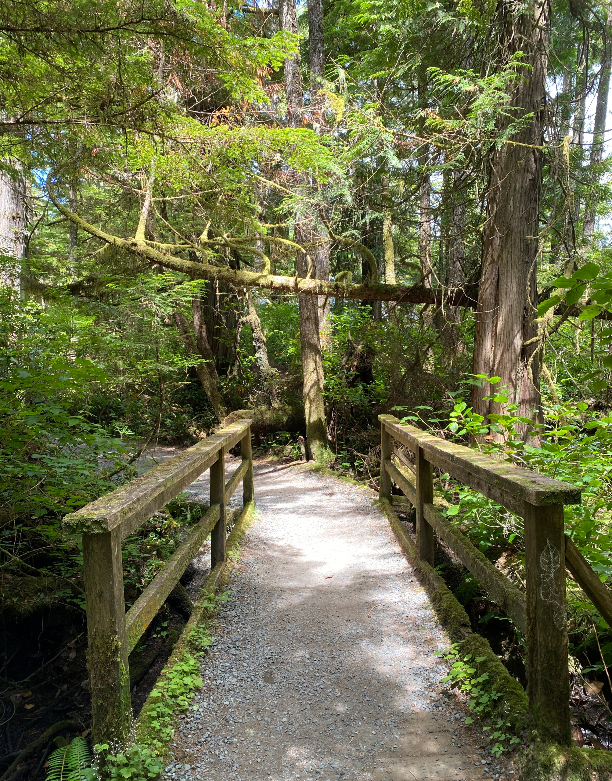 Wild Pacific Trail