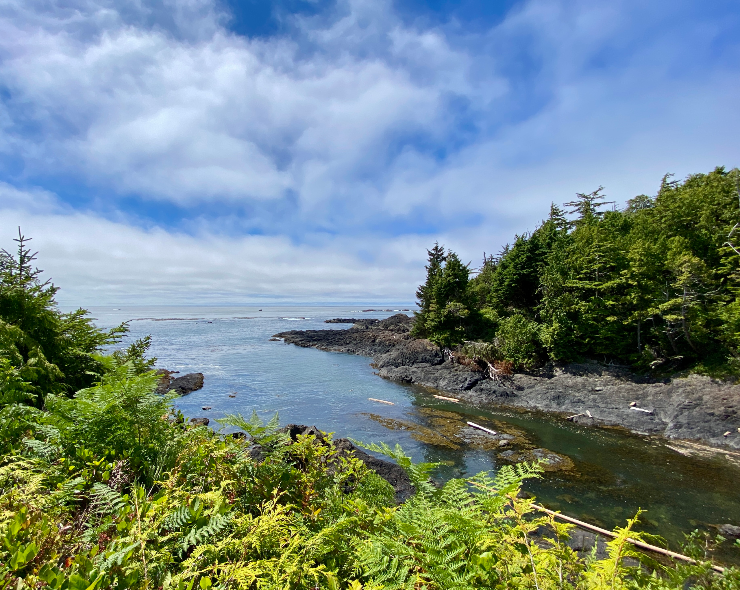 Walking the Wild Pacific Trail, Vancouver Island
