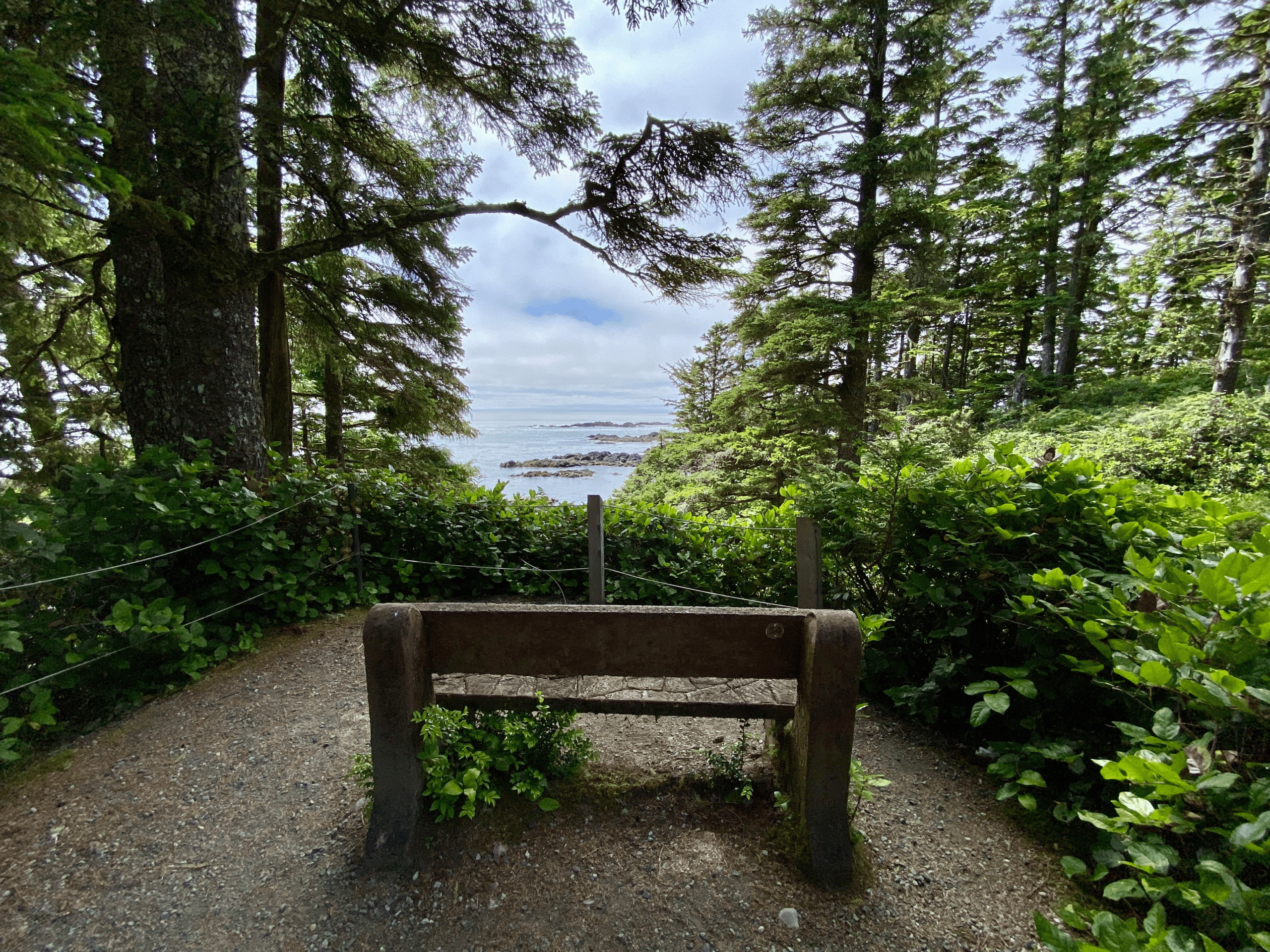 Benches on the Wild Pacific Trail