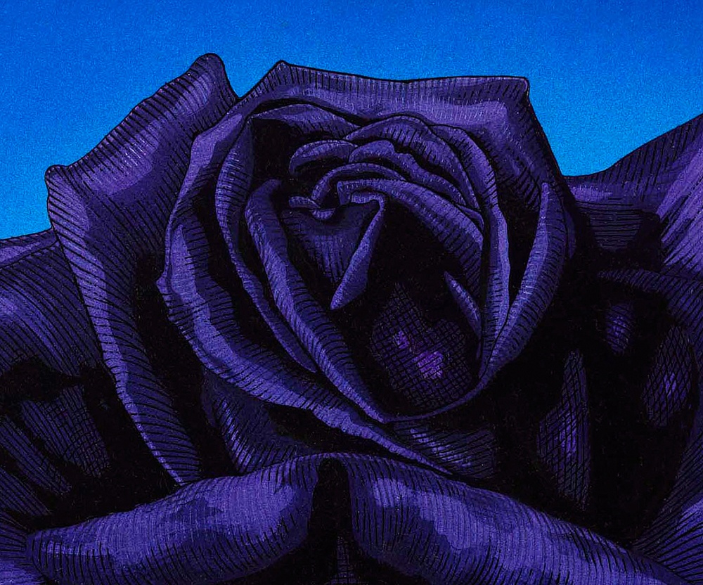 BLACK ROSE – Jim FitzPatrick