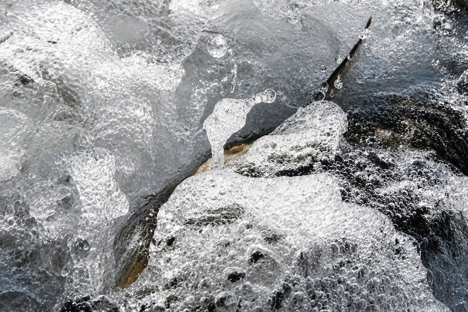 Barnacles — glassy water lifting over black barnacled rock