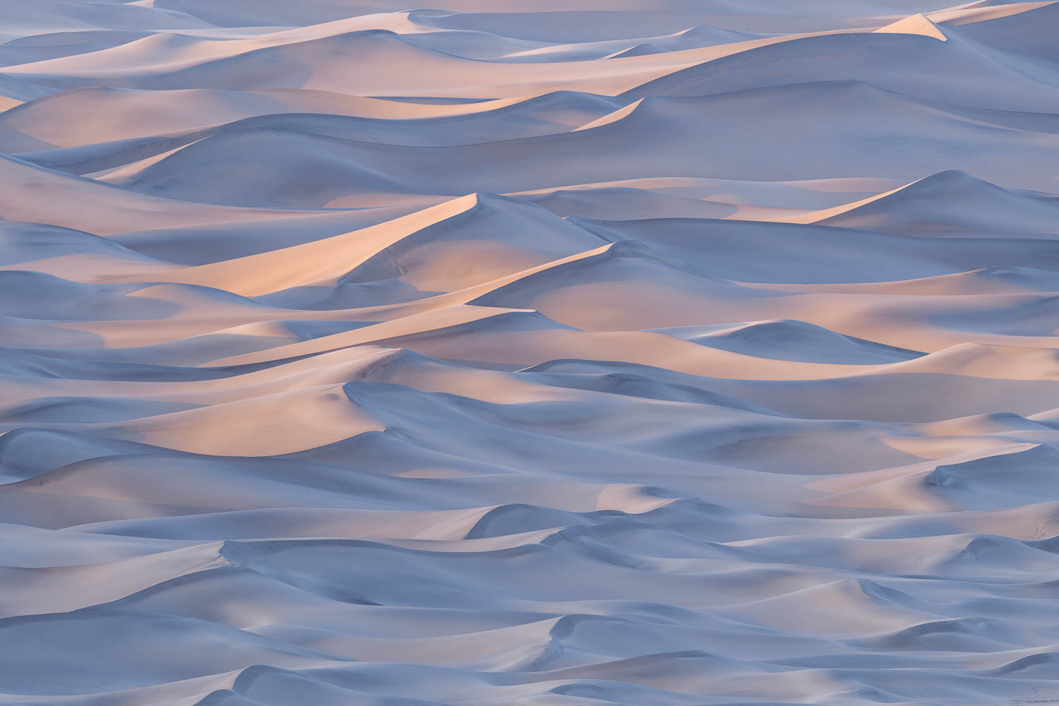 Sand dunes under soft pink sunset light undulating through the frame