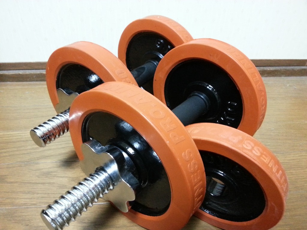 筋トレ初心者でも10日もしたら さらに重いモノを欲する体になってきた 人生一度 腰椎破裂骨折にも負けない