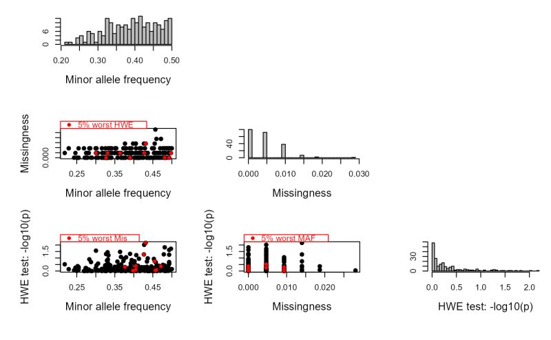 Pedigree Reconstruction Sequoia Sequoia - Premium Geometric Picture - HD