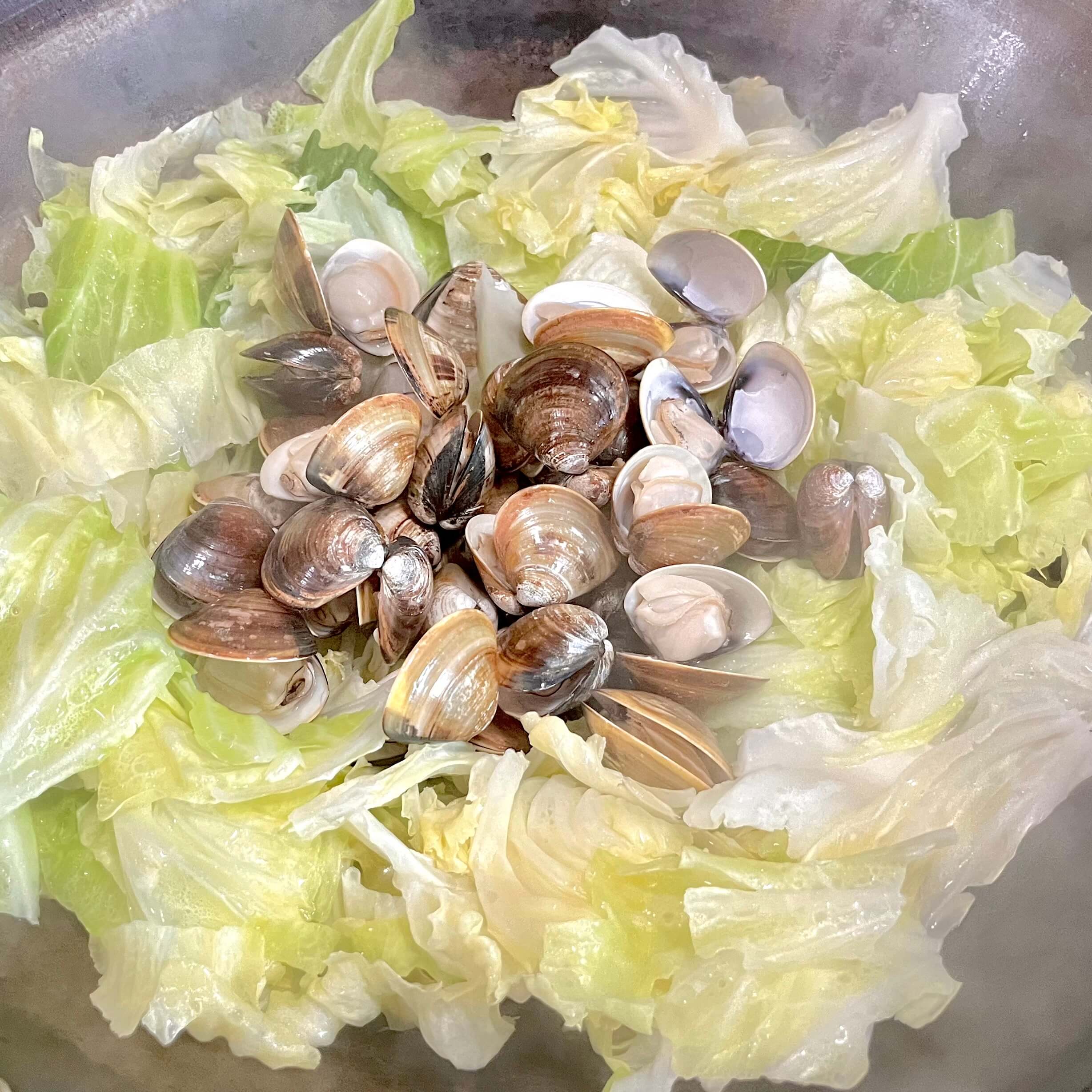 奶油蛤蜊高麗菜