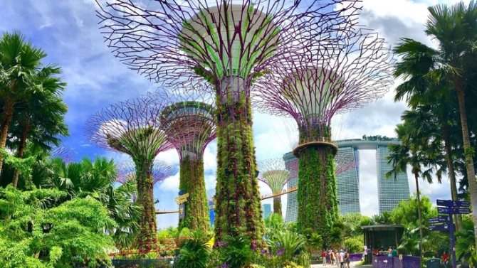 Гареева был основан в 1938 году по постановлению совета народных комиссаров киргизской сср № 336 от 13 марта 1938 г. Progulka Po Rodnomu Gorodu Sochinenie Opisanie Kratkoe Soderzhanie Analiz Biografiya Harakteristika Test Otzyv Statya Referat Gdz Kniga Pereskaz Soobshenie Doklad Literatura Chitat Onlajn