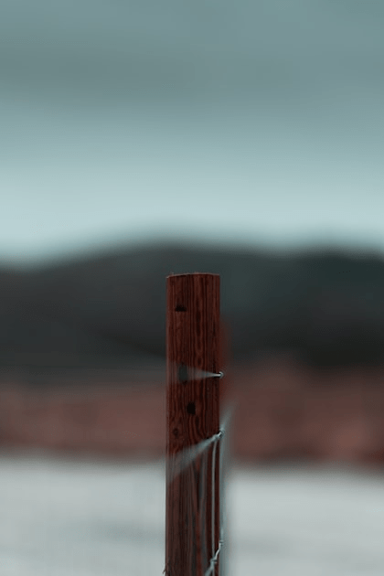 Essential Fence Repair Tips