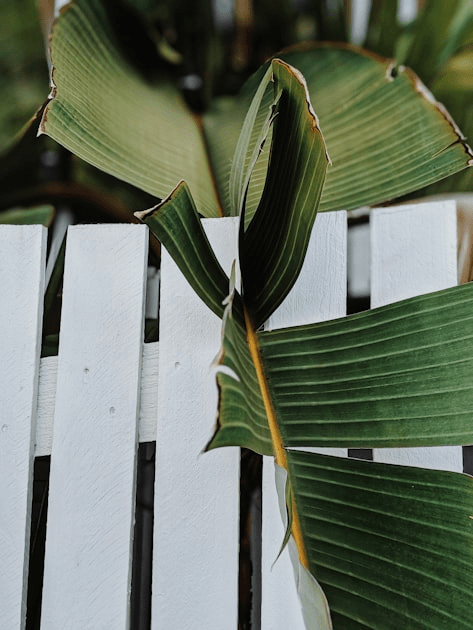 Top Benefits of Residential Fencing
