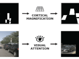Occupancy Grid Mapping With Cognitive Plausibility For Autonomous