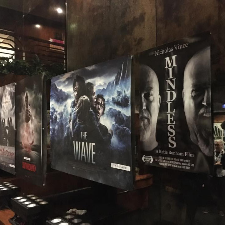 Mindless poster on display at Glasgow Film Theatre - Feb 2016 (photo by Katie Bonham)