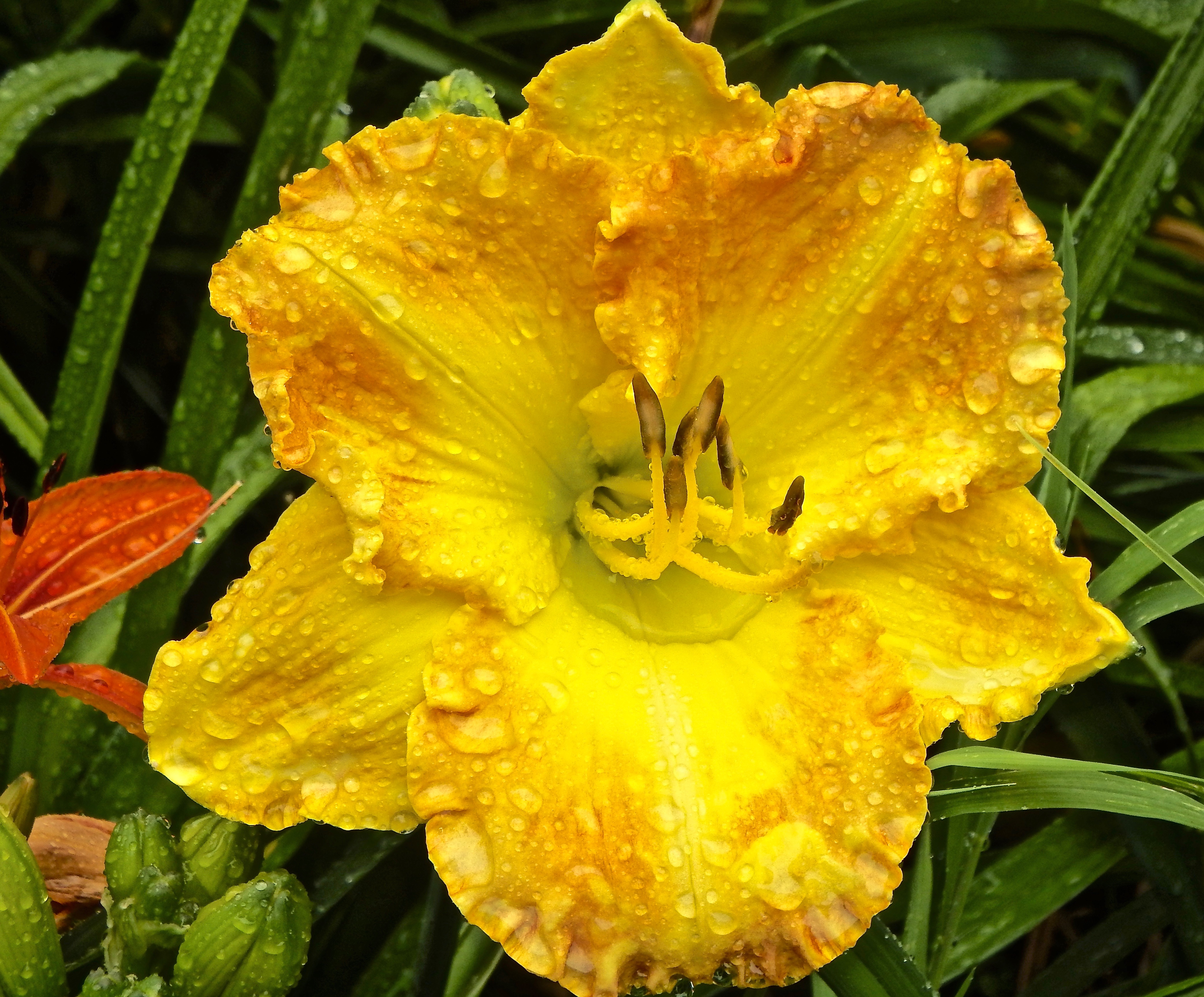 DSCF1813