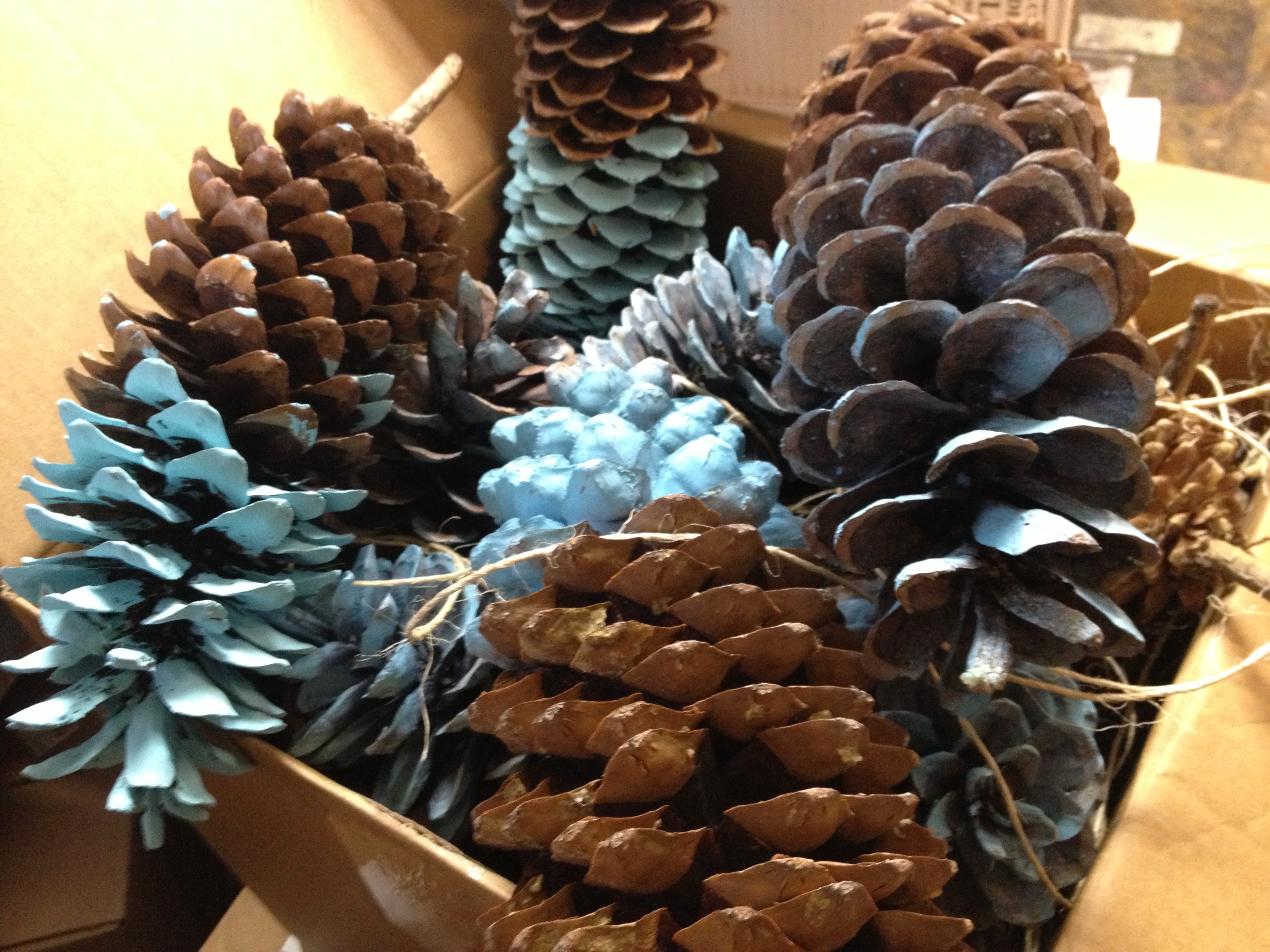 we painted the tips of pinecones to hang over the registers at Whole Foods Market