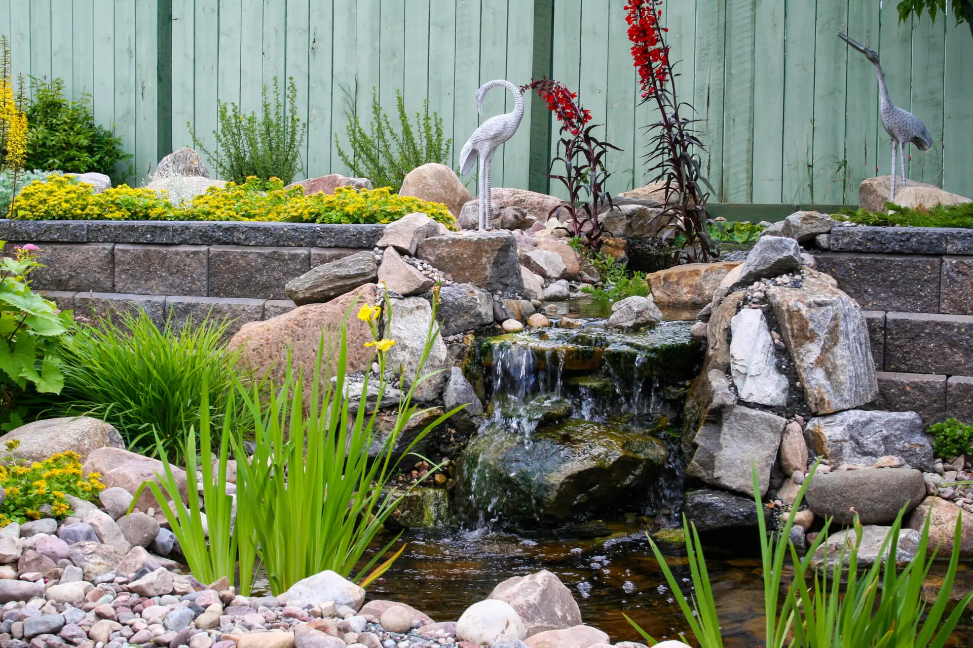 Backyard landscape design project
