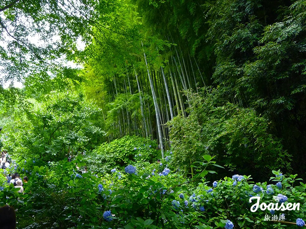 ▲ 長谷寺