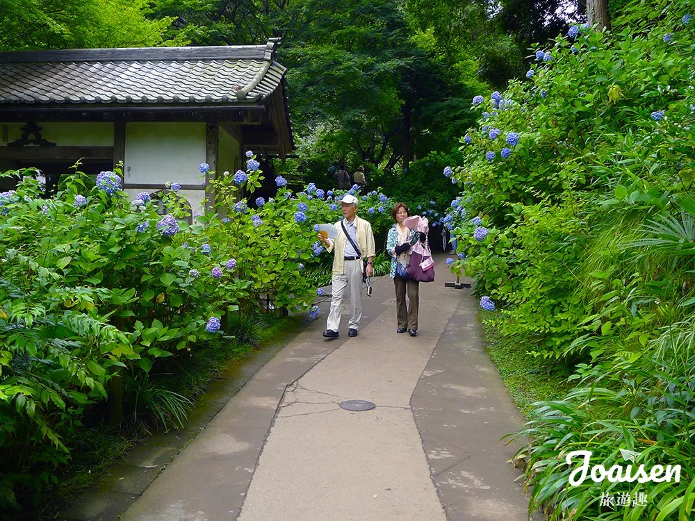 ▲ 賞花