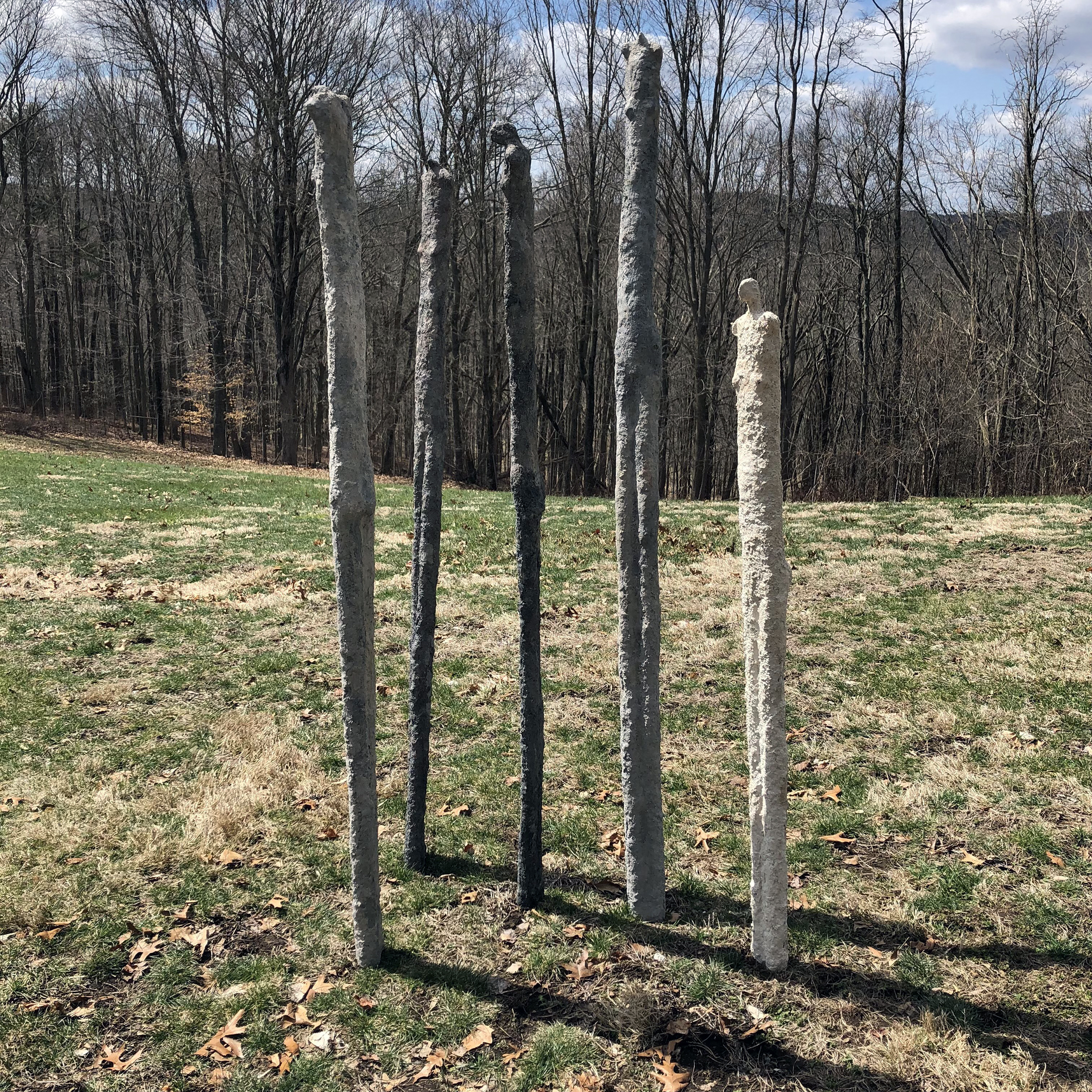 {"colorSpace":"kCGColorSpaceDisplayP3","cameraType":"Wide","macroEnabled":false,"qualityMode":2,"deviceTilt":-0.0056484500553946049,"customExposureMode":0,"extendedExposure":false,"whiteBalanceProgram":0,"cameraPosition":1,"focusMode":0}