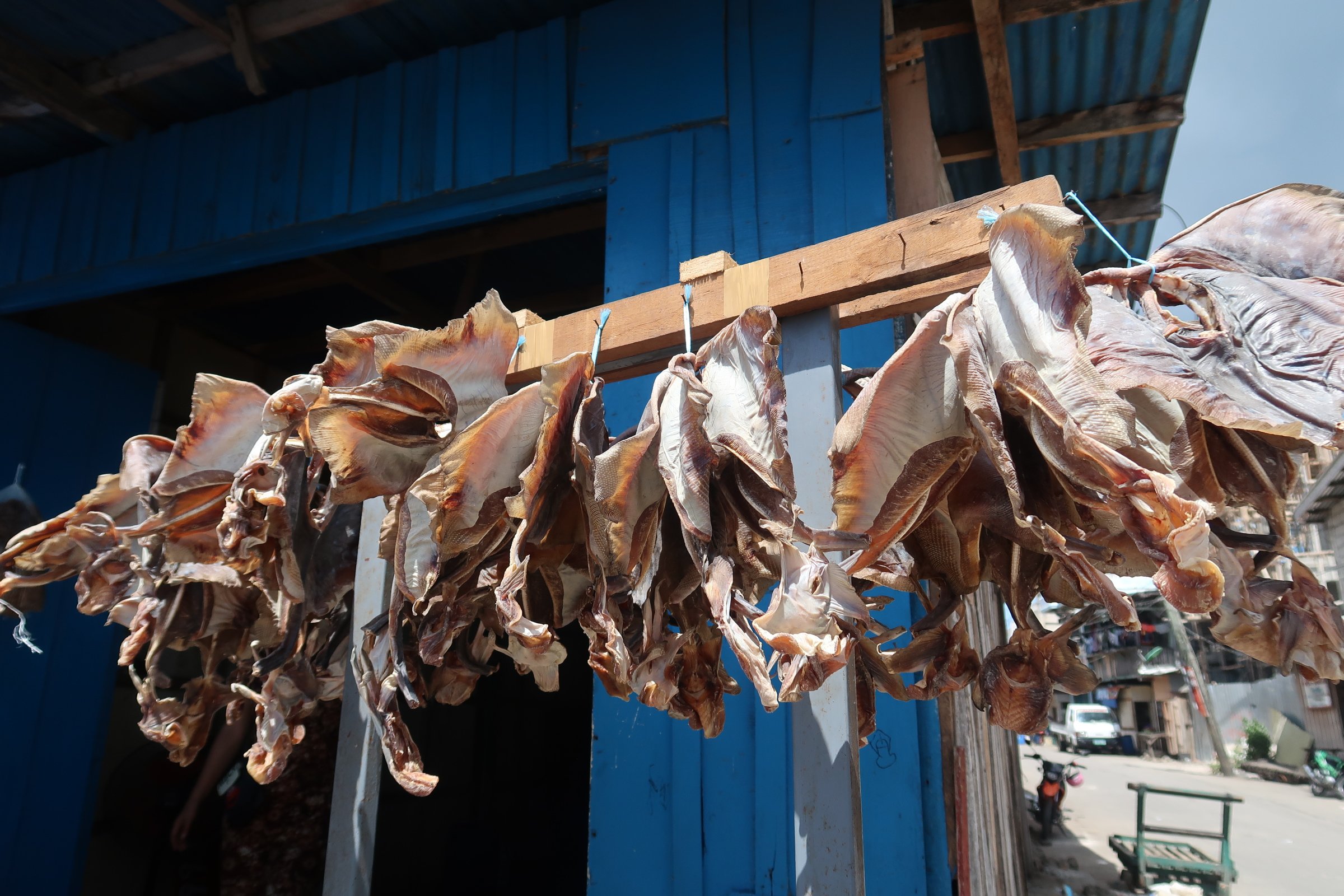 tawi-tawi travel guide