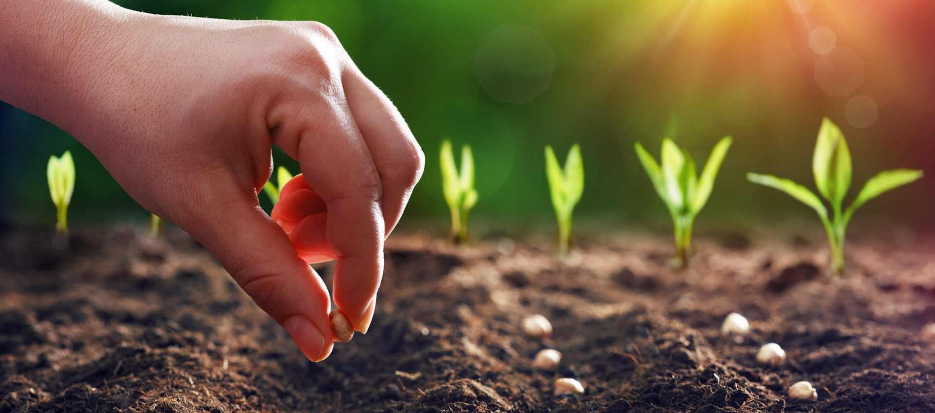 Da Conceção à Disseminação do MPMH©