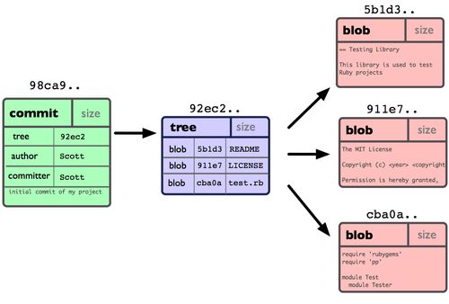 Git Blob Tree Commit Refs - Elegant Nature Photo - 4K
