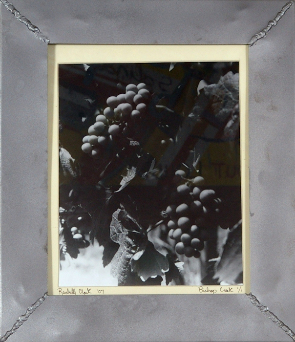 Life of a Grape 12 in. x 14 in.