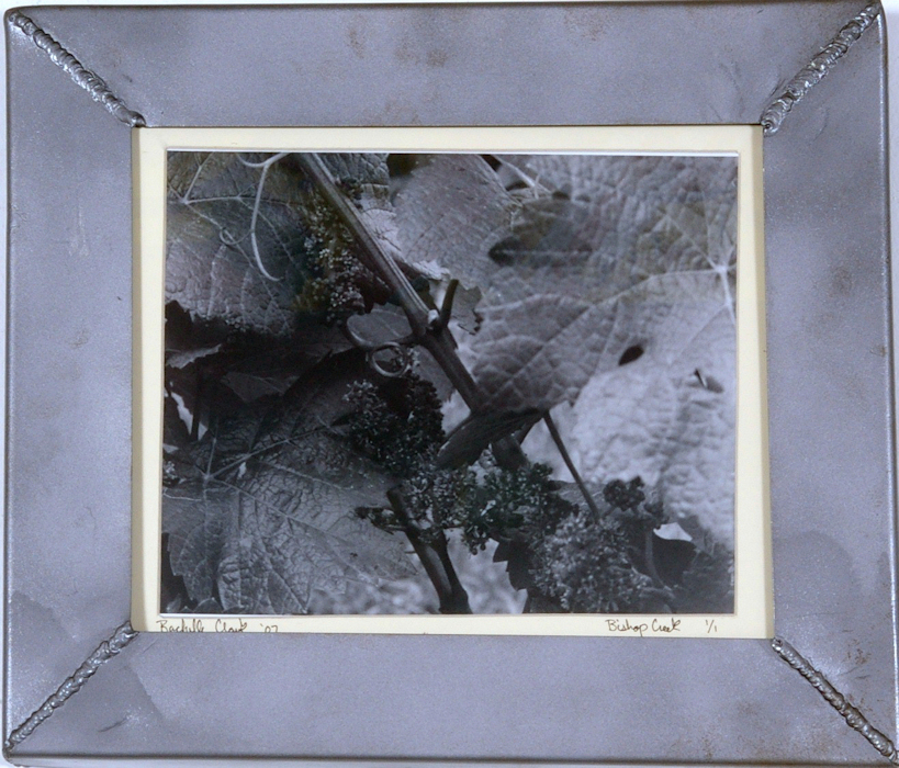 Life of a Grape 12 in. x 14 in.