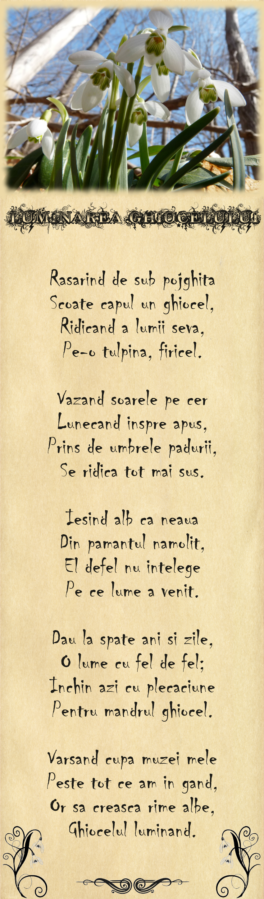 Luminarea Ghiocelului