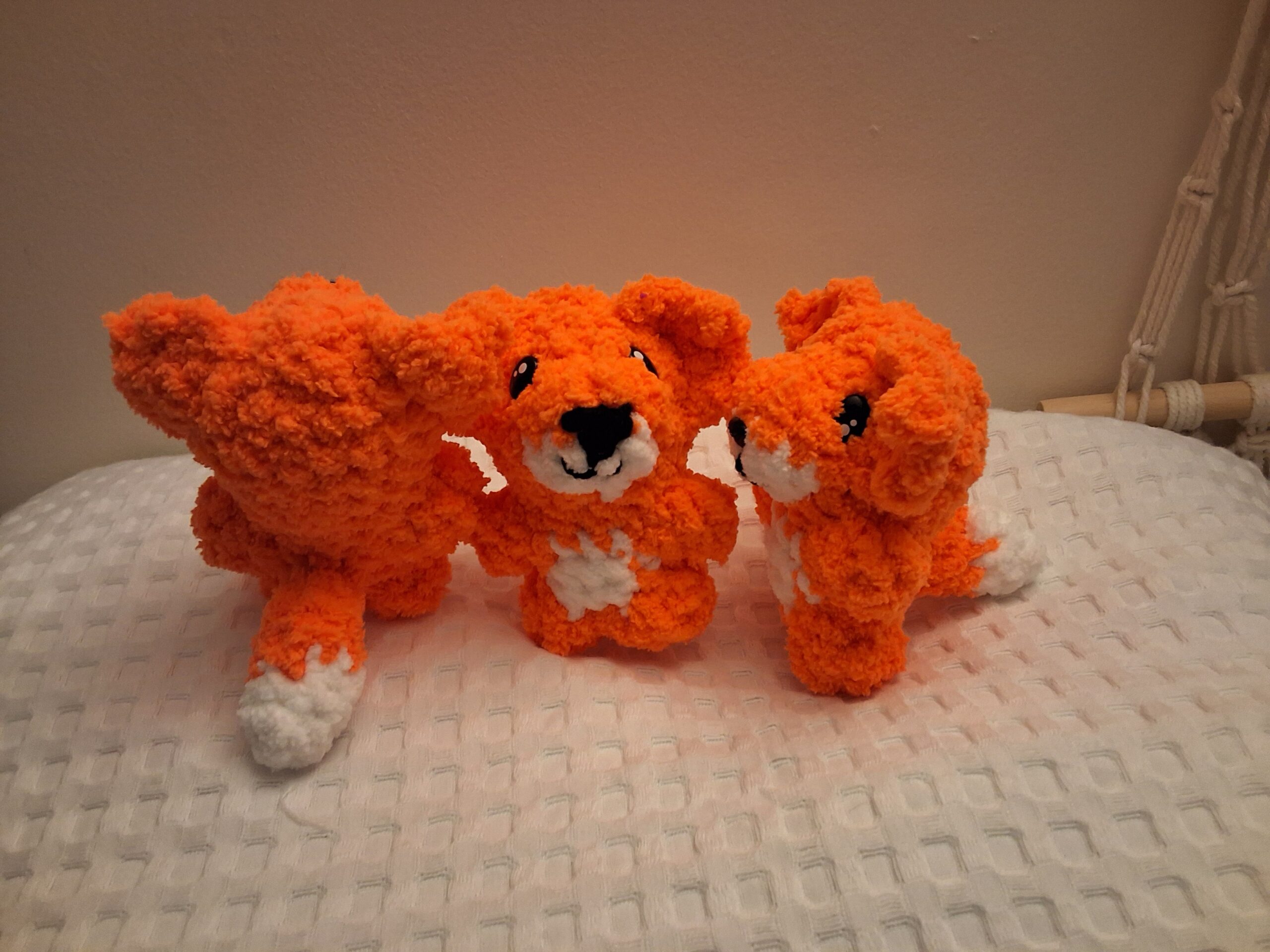 Foxes