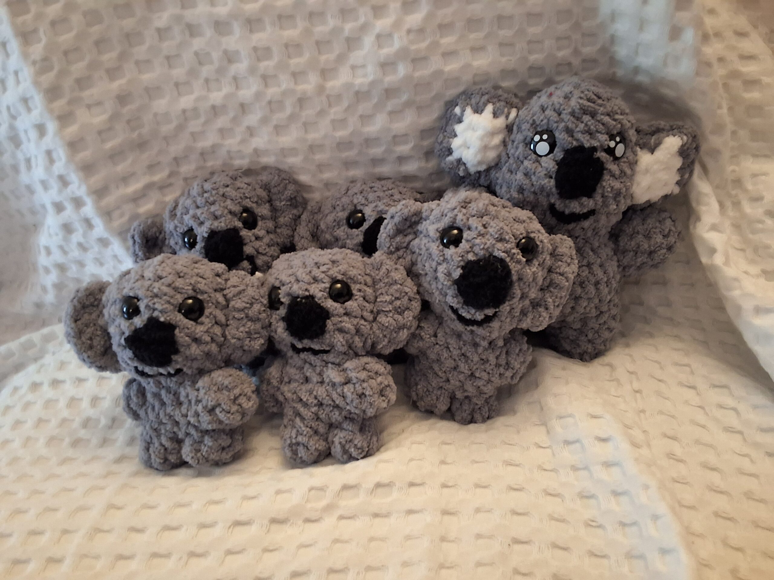 Koalas