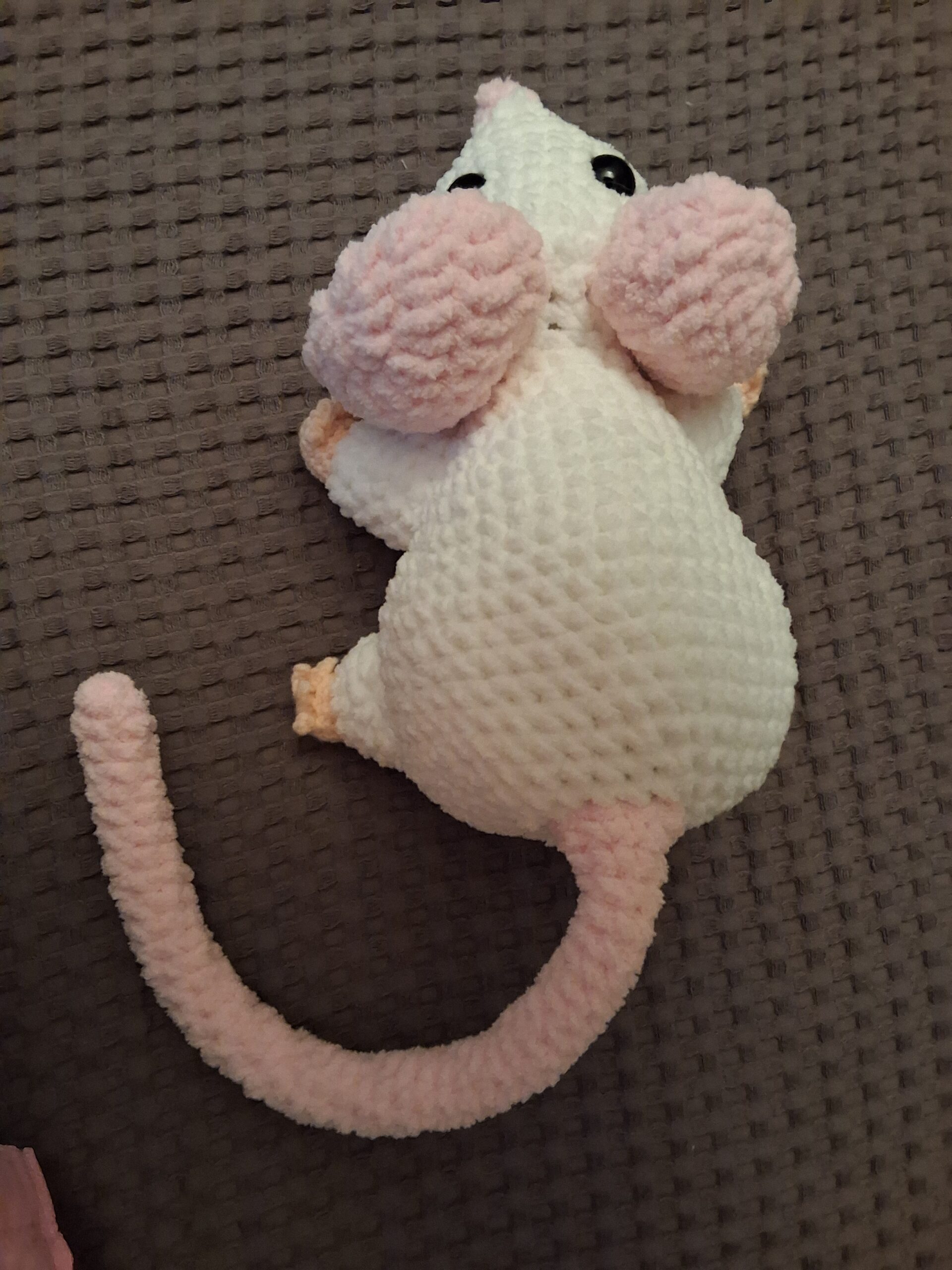 Mice and Rats